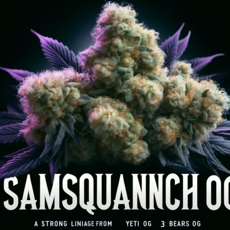 Mephisto Genetics - Samsquanch Og