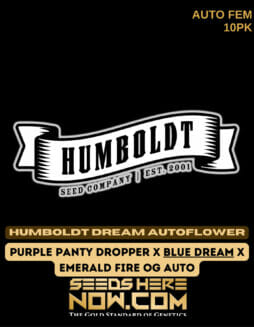 Humboldt Seed Company - Humboldt Dream Auto {AUTOFEM} [10pk]Humboldt Humboldt Dream Autoflower