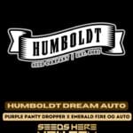Humboldt Dream (Autoflower) - Humboldt Seed Company