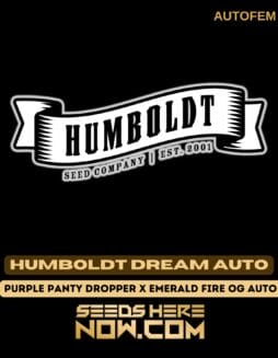 Humboldt Seed Company - Humboldt Dream Auto {AUTOFEM}Humboldt Seed Company - Humboldt Dream Auto {AUTOFEM}