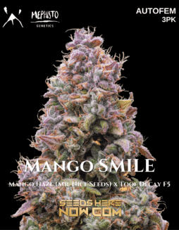 Mephisto Genetics - Mango Smile {AUTOFEM} [3pk]