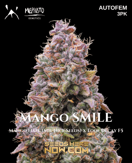 - Mephisto Genetics - Mango Smile {Autofem} [3Pk]