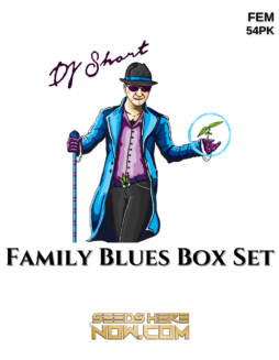 DJ Short Seeds/Blue Star Seeds - Family Blues Box Set {FEM} [54pk]Family blues box set picture