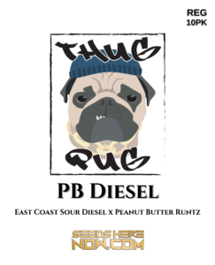 PB Diesel (Regular) - Thug Pug Genetics
