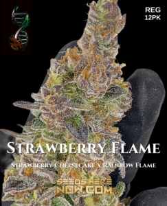 Strawberry flame (regular) - green fire genetics