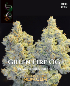 Green fire og (regular) - green fire genetics