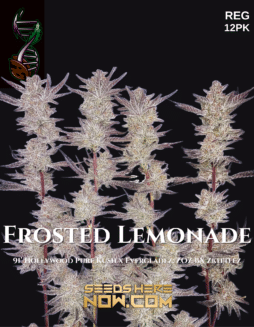 Green Fire Genetics - Frosted Lemonade {REG} [12pk]