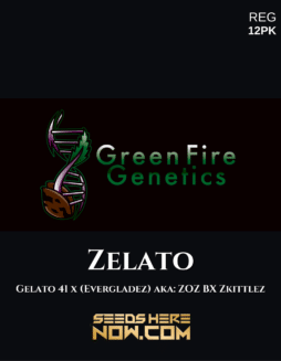 Green Fire Genetics - Zelato {REG} [12pk]