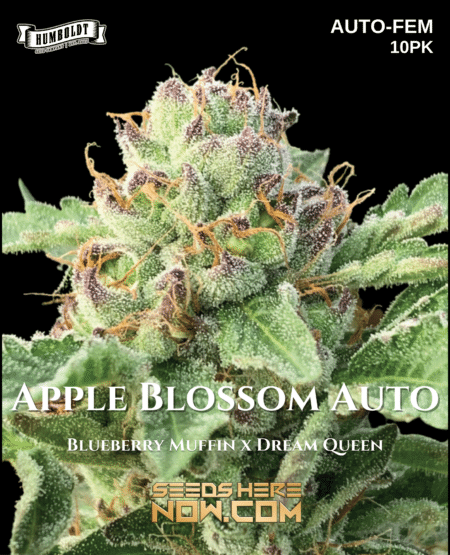 - Humboldt Seed Company - Apple Blossom Auto {Autofem} [10Pk]