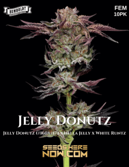 Humboldt Seed Company - Jelly Donutz {FEM} [10pk]Jelly Donutz