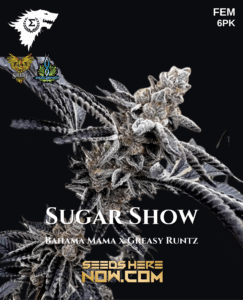 Sugar Show (Feminized) - Sigma