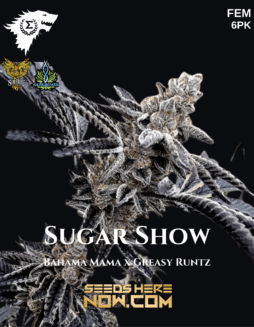 Sigma - Sugar Show {FEM} [6pk]