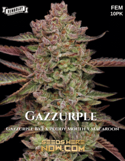 Humboldt Seed Company - Gazzurple {FEM} [10pk]Gazzurple