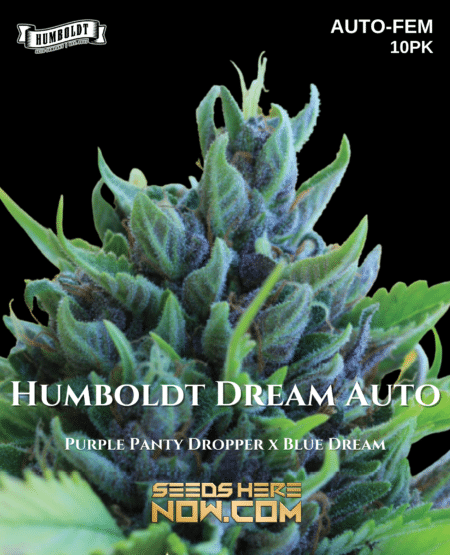 - Humboldt Seed Company - Humboldt Dream Auto {Autofem} [10Pk]
