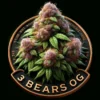 3 Bears OG (Autoflower) (space) Mephisto Genetics