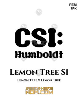 CSI Humboldt – Lemon Tree S1 {FEM} [7pk]