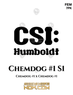 CSI Humboldt – ChemDog #1 S1 {FEM} [7pk]