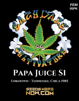 Eazy Daze Cultivators - Papa Juice S1 {FEM} [5pk]
