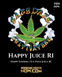 Happy Juice R1 (feminized) - Eazy Daze Cultivators