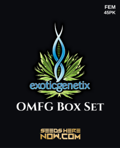 OMFG Box Set (Feminized) - Exotic Genetix