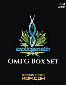 Exotic Genetix - OMFG Box Set {FEM} [45pk]