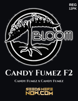 Bloom Seed Co. - Candy Fumez F2 {REG} [12pk]