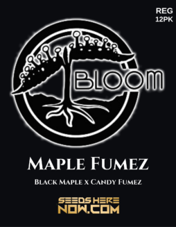 Bloom Seed Co. - Maple Fumez {REG} [12pk]