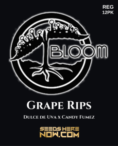 Grape Rips (regular) - Bloom Seed Co.