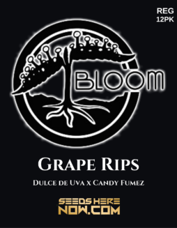 Bloom Seed Co. - Grape Rips {REG} [12pk]