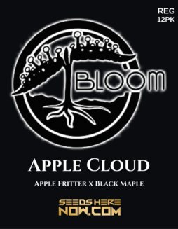 Bloom Seed Co. - Apple Cloud {REG} [12pk]