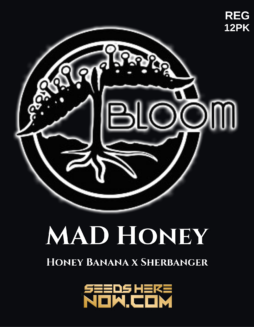 Bloom Seed Co. - MAD Honey {REG} [12pk]