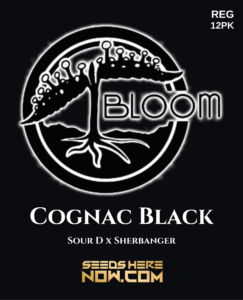 Cognac Black (regular) - Bloom Seed Co.