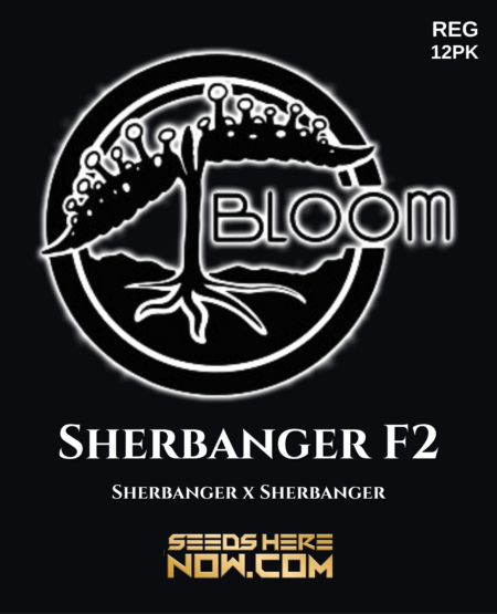 - Bloom Seed Co. - Sherbanger F2 {Reg} [12Pk]