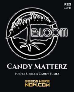 Candy Matterz (regular) - Bloom Seed Co.