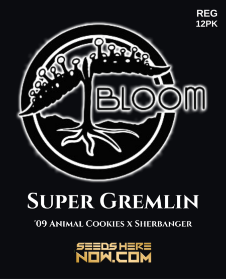 - Bloom Seed Co. - Super Gremlin {Reg} [12Pk]