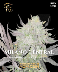 Milano central (regular) - first principles genetics