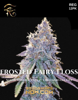 First Principles Genetics - Frosted Fairy Floss {REG} [12pk]