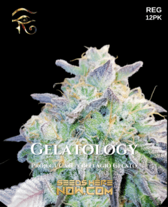 Gelatology (regular) - first principles genetics