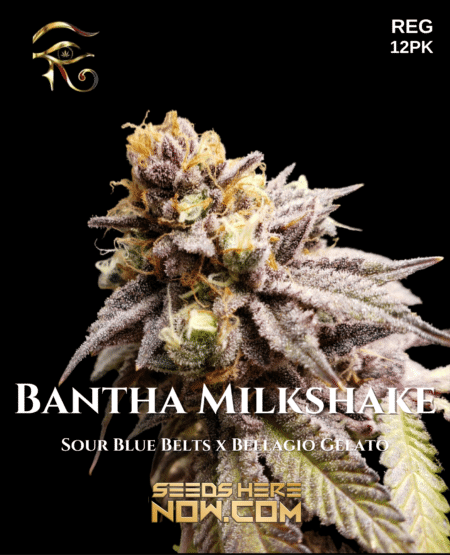 First Principles Genetics - Bantha Milkshake