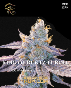 King of runtz-n-roll (regular) - first principles genetics