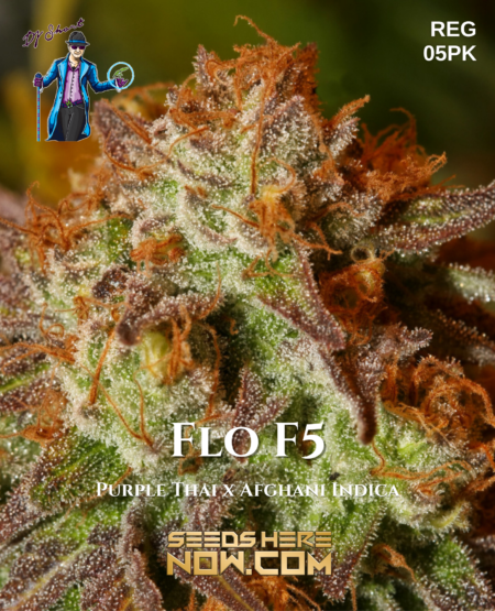 Dj Short Seeds - Flo F5