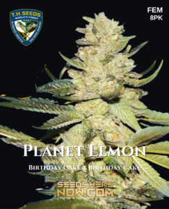 Planet Lemon 710 Bonus Pack (feminized) - T.h. Seeds