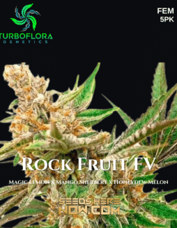 TurboFlora Genetics - Rock Fruit FV {FEM} [5pk]Plant Photo Info Card