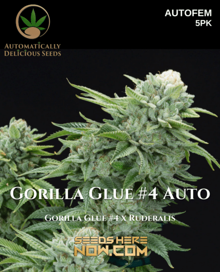 Gorilla Glue #4 Auto