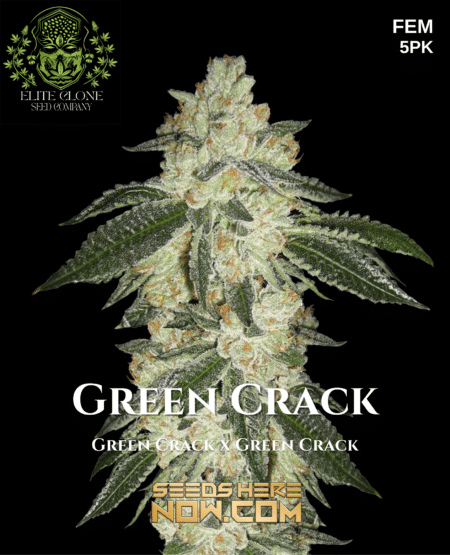 - Elite Clone Seed Company - Green Crack {Fem} [5Pk]