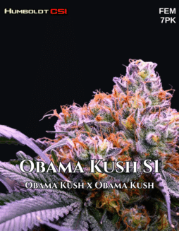 CSI Humboldt – Obama Kush S1 {FEM} [7pk]Plant Photo Info Card