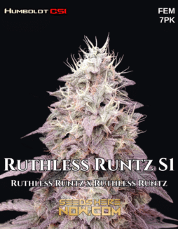 CSI Humboldt – Ruthless Runtz S1 {FEM} [7pk]Plant Photo Info Card
