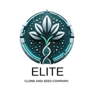Elite Clone Seed Company
