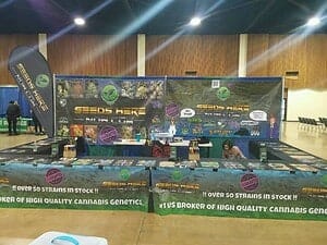 American Marijuana Seeds | SeedsHereNow.com: The Ultimate Guide