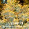 Jokerz S1 (Feminized) (space) Elite Clone Seed Company